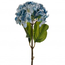 Flor Hortensia