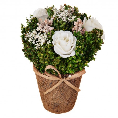 Mini arreglo floral con maceta Rosas Blanco