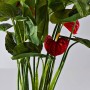 Planta artificial con maceta Flor Anturio Rojo Haus