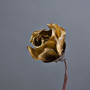 Rosa mini 3 flores Belinda Flowers