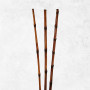 Bambú exótico x3 Belinda Flowers