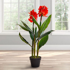 Planta Flor Canna Naranja con maceta Haus