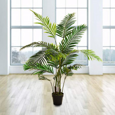 Planta con maceta Palmera Areca Haus