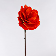 Flor Rosa Areca Belinda Flowers
