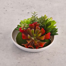 Mini planta artificial suculenta multi con plato Haus