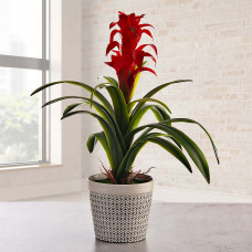 Planta artificial con flor roja / maceta Haus