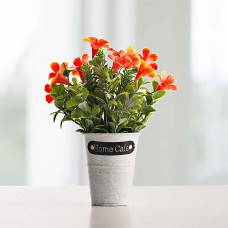 Mini arreglo amarilis con maceta balde Haus