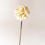 Flor Pensamiento Grande Belinda Flowers