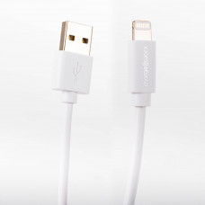 Cable Lightning / USB