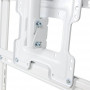 Soporte Ajustable de Techo para TV de 42" a 75" 49kg EVS-CB03