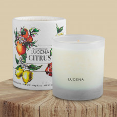 Vela Vaso de Cera de Soya con Caja Citrus Lucena