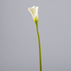 Flor Calla Lily Plástico Haus