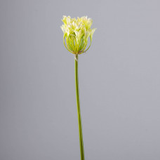 Flor Agapanthus de Plástico Verde / Beige Haus