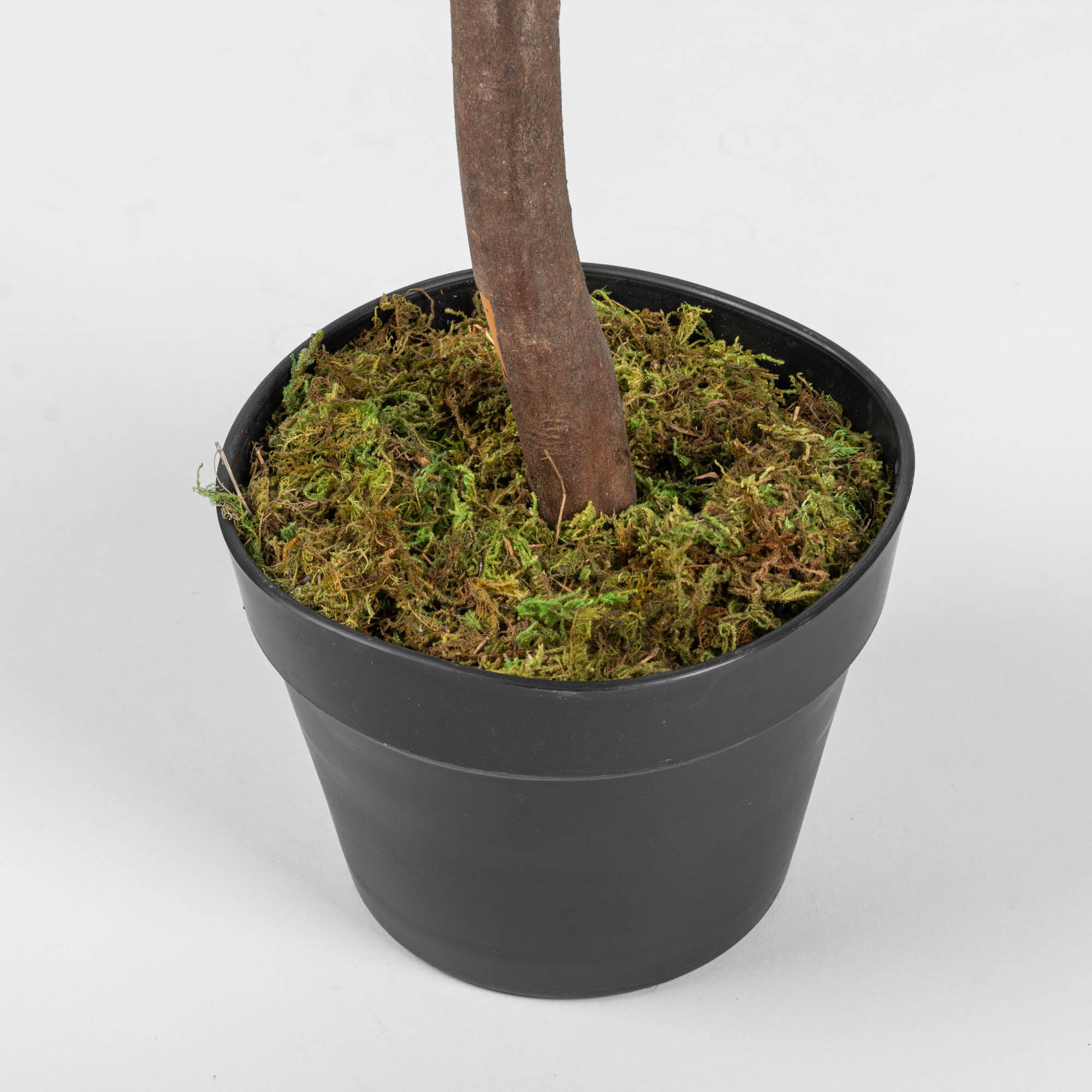 Planta artificial Palmera pequeña con maceta de cerámica marrón y