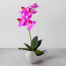 Arreglo Flor Orquídea Artificial Fucsia con Maceta Blanca de Cerámica Haus