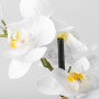 Arreglo Flor Orquídea Artificial Blanco con Maceta Blanca de Cerámica Haus
