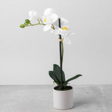 Arreglo Flor Orquídea Artificial Blanco con Maceta Blanca de Cerámica Haus