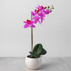 Arreglo Flor Orquídea Artificial Morado con Maceta Blanca de Cerámica Haus
