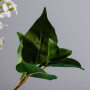 Flor Lilac de Plástico Haus