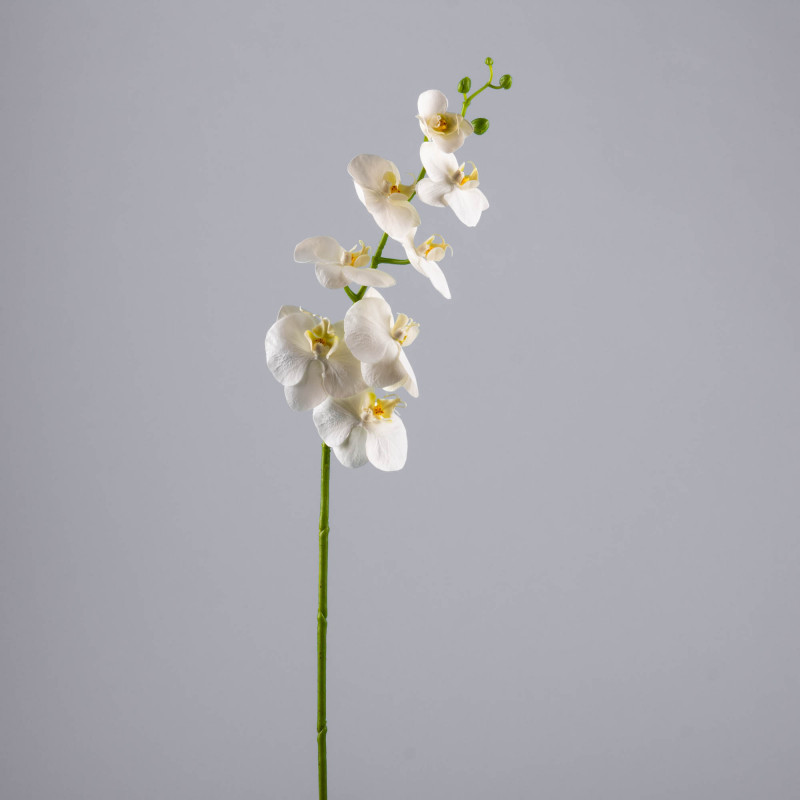 Flor Orquídea Phalaenopsis Orchid de Plástico Blanco Haus