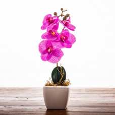 Flor Orquídea de Poliéster y Plástico con Maceta de Cerámica Haus