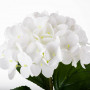 Flor Hortensia 66cm Blanca de Poliéster y Alambre