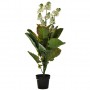 Planta artificial con maceta Flor Blanca plástico / hierro Haus